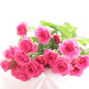 Rose Bouquet (24 stems, 48 stems or 100 stems-48 hrs notice required)