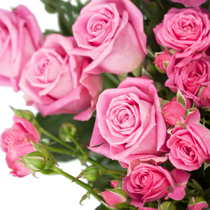 Valentines Pink Roses by the Dozen (3 sizes available)