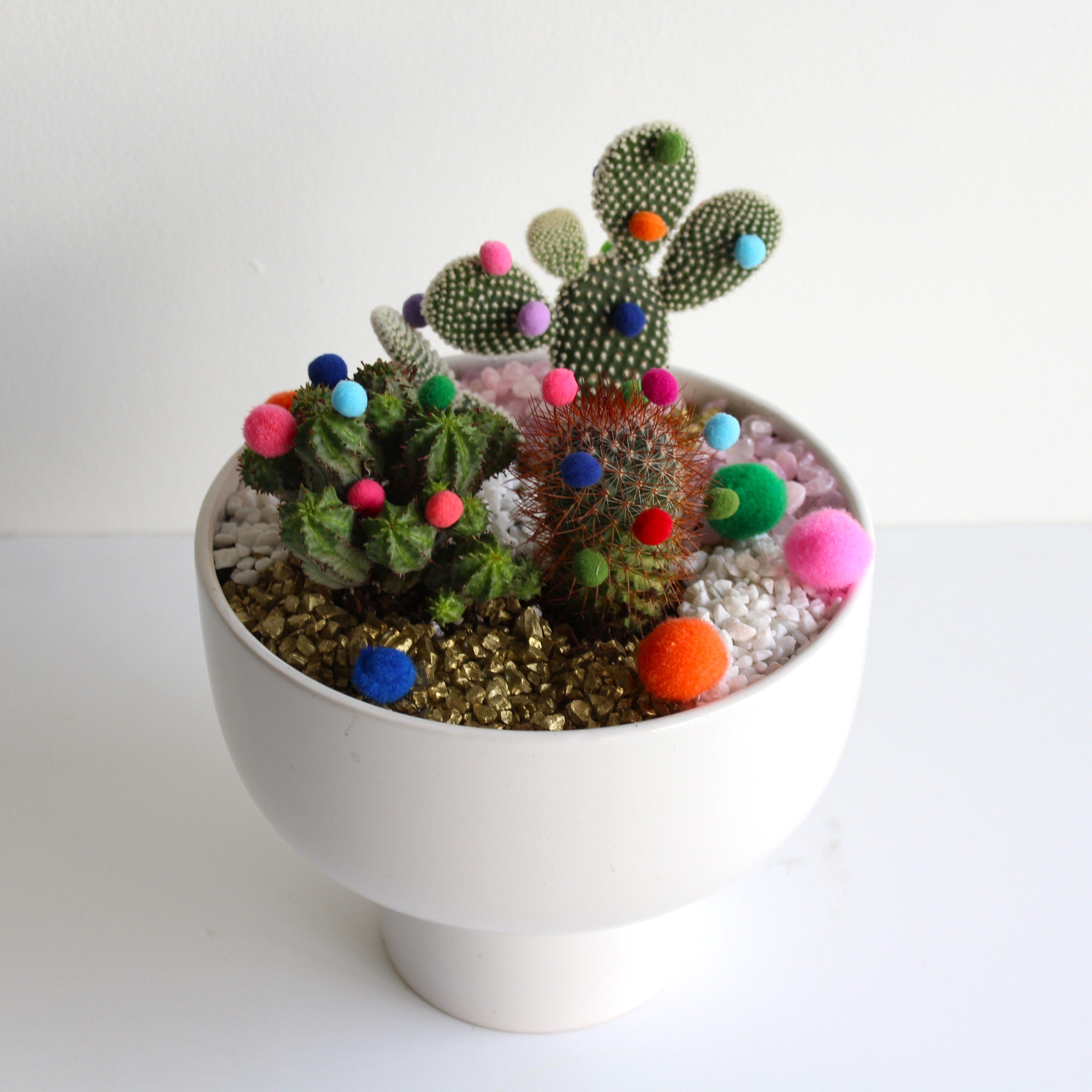 Festive Cactus Potted Bowl With PomPoms