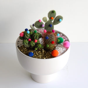 Festive Cactus Potted Bowl With PomPoms