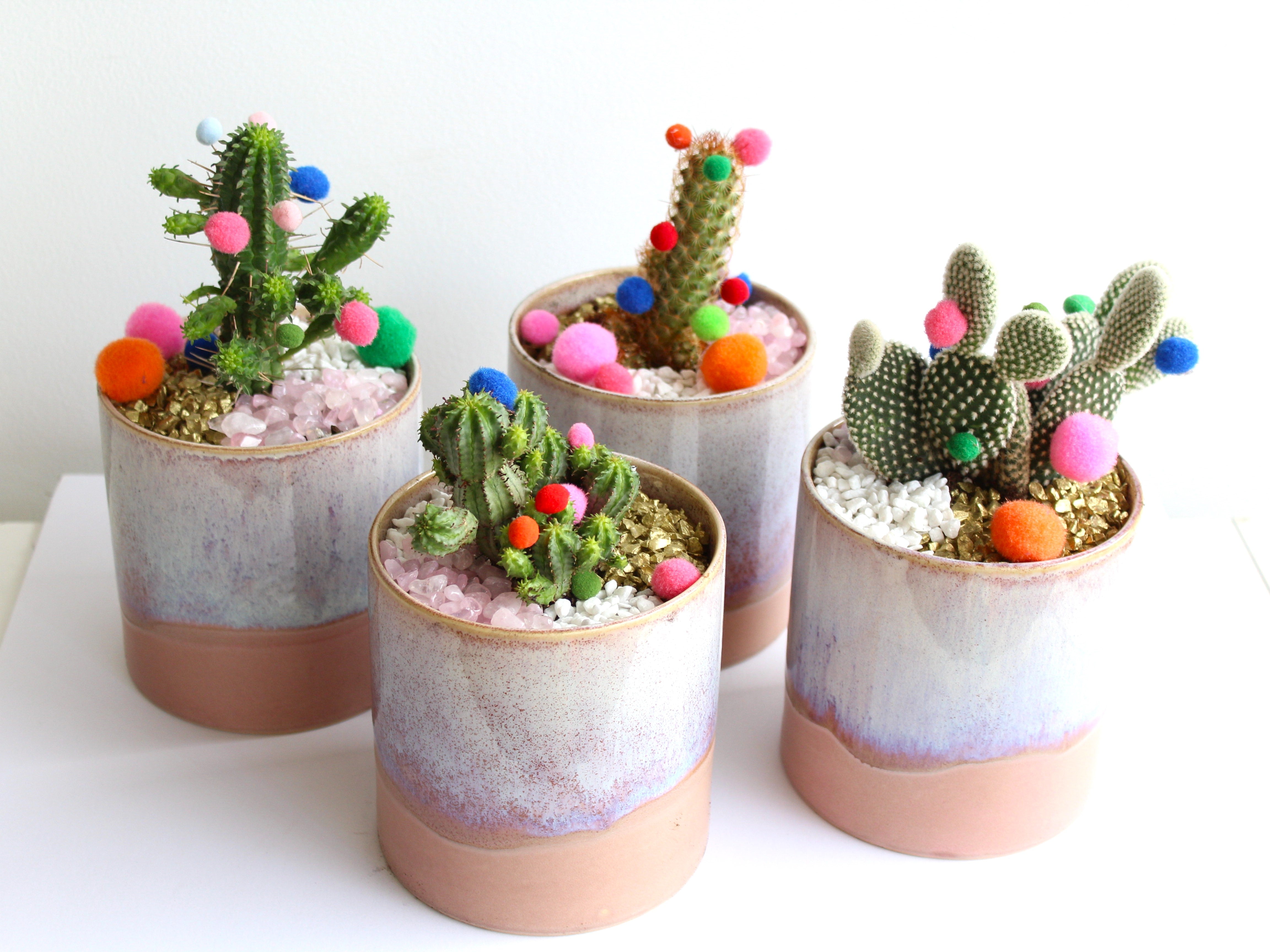 A set of four lavender ceramic pots each with a cactus potted in, decorated with colourful pompom balls.