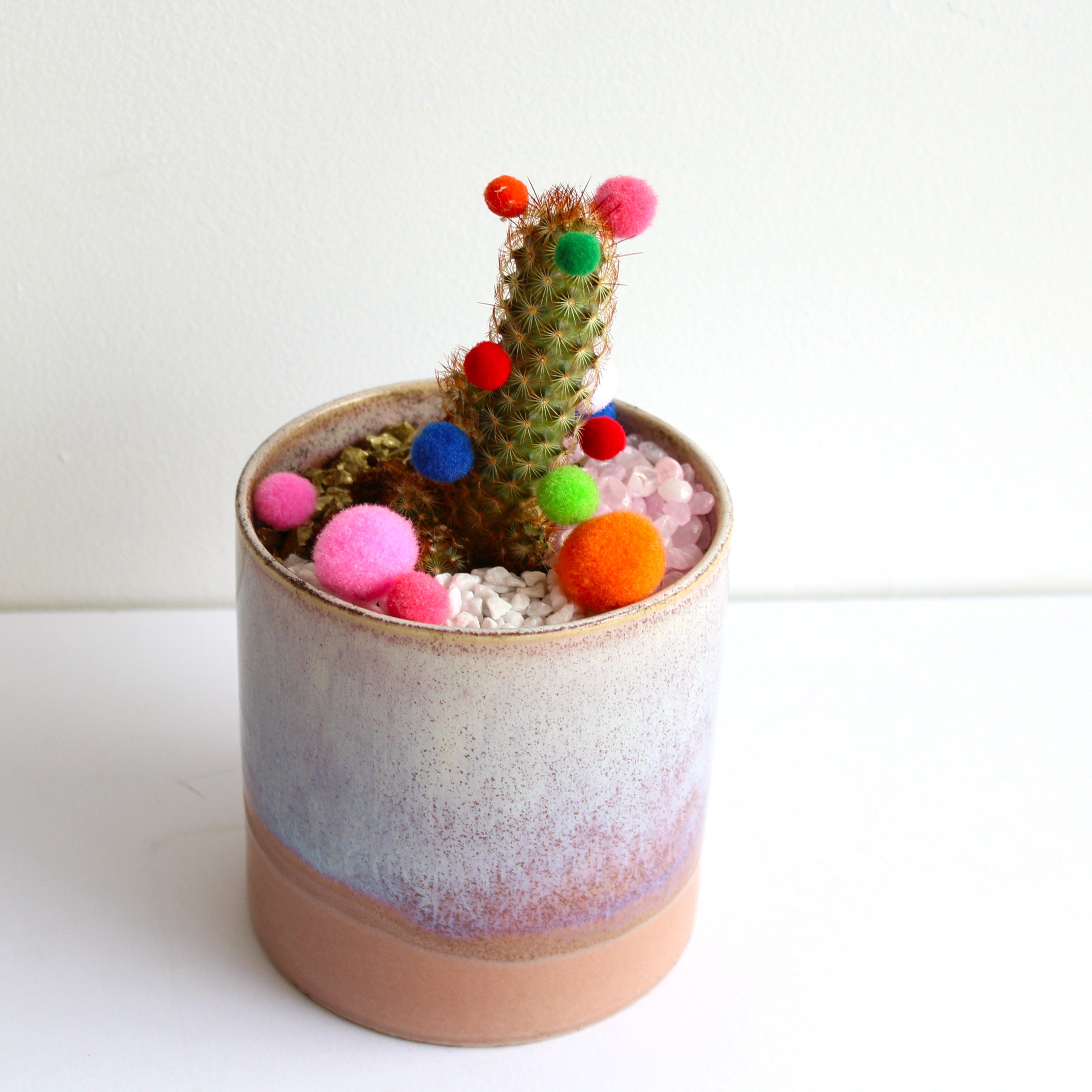 A ceramic pot with a cactus planted in, decorated with colourful pompoms.