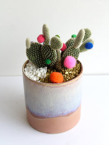 A potted cactus with colourful pompom balls.