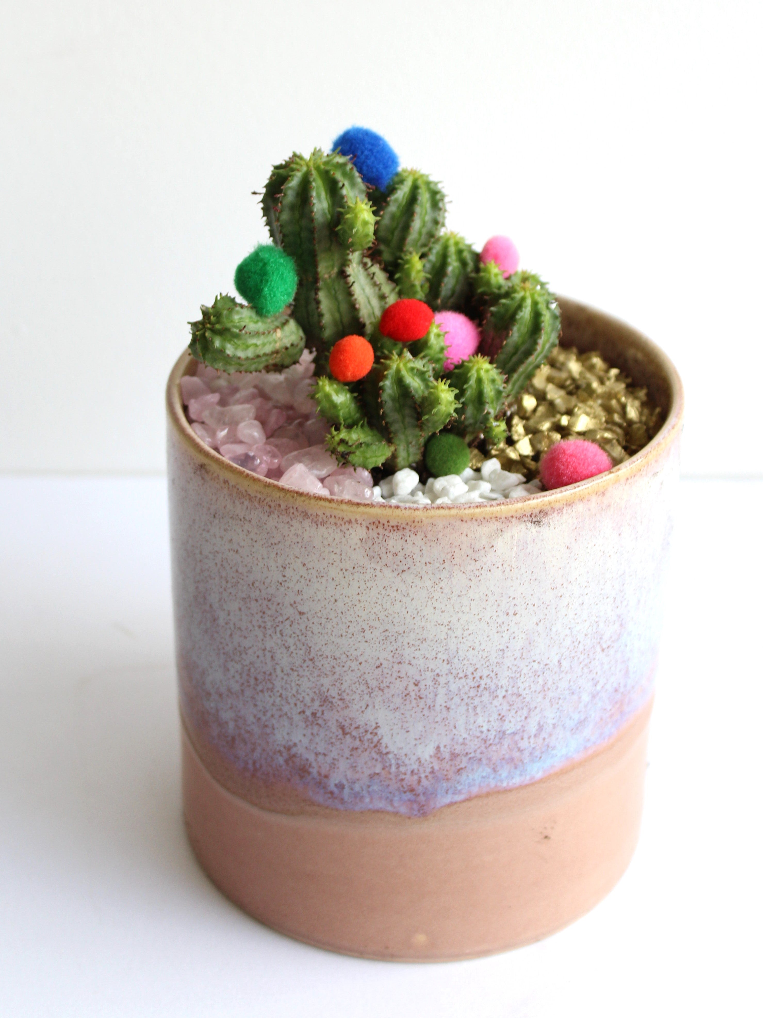 A cactus plant in a ceramic pot with colourful pompoms.