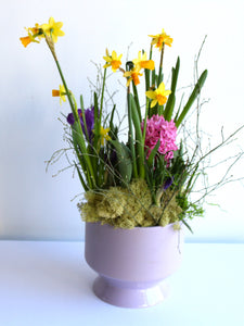 Spring Bulb Planter in Lavender Ceramic