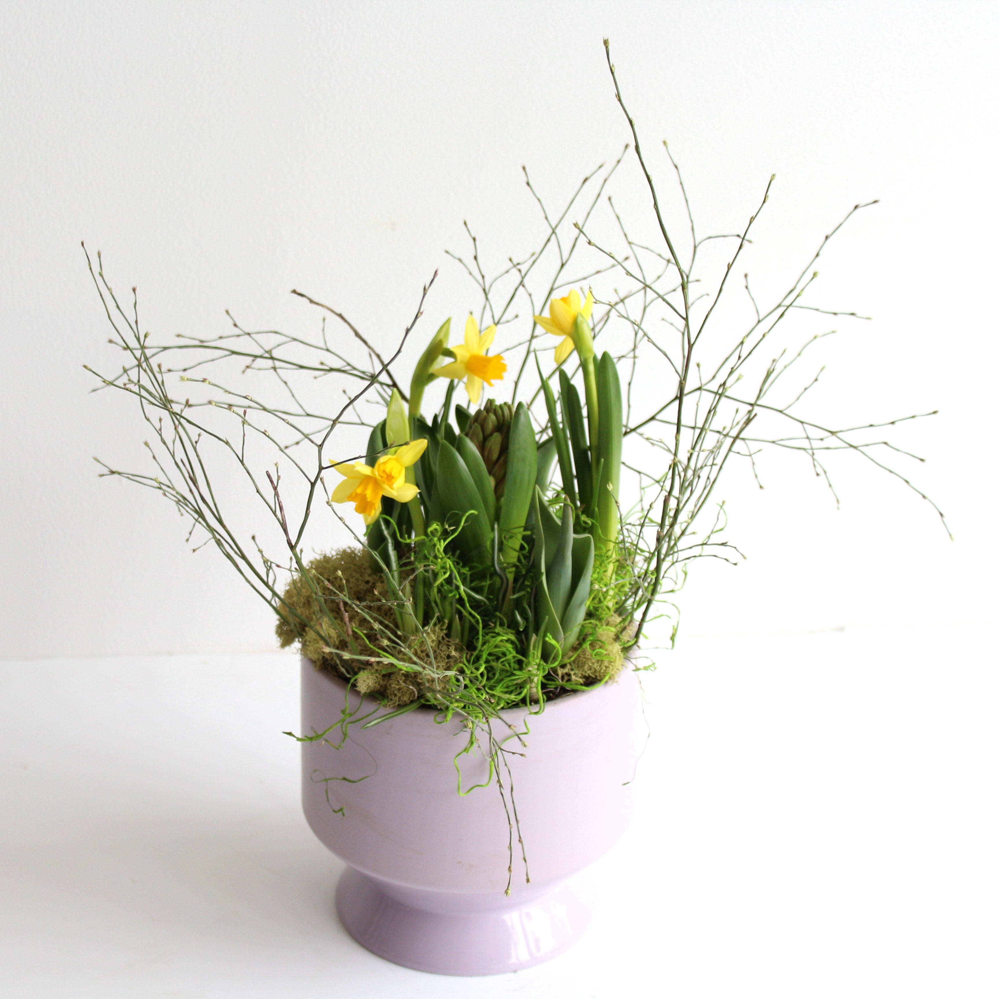 Spring Bulb Planter in Lavender Ceramic